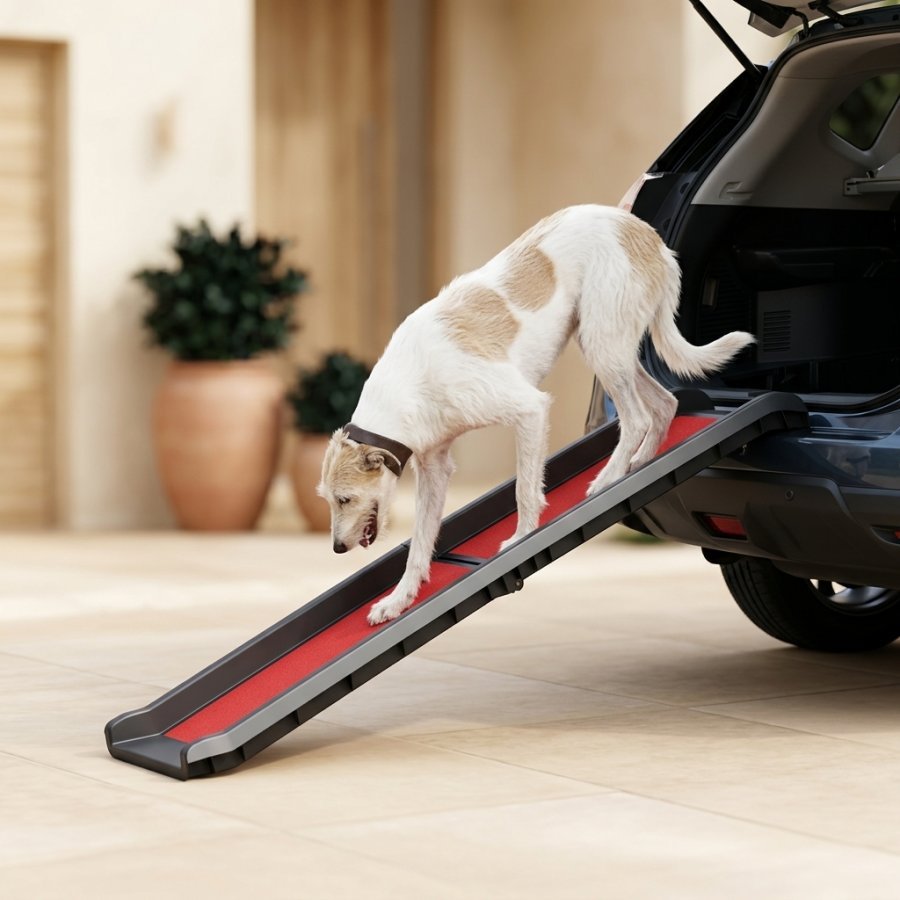 Foldable Non-Slip Dog Ramp set up at a car boot, giving a dog gentle access without jumping
